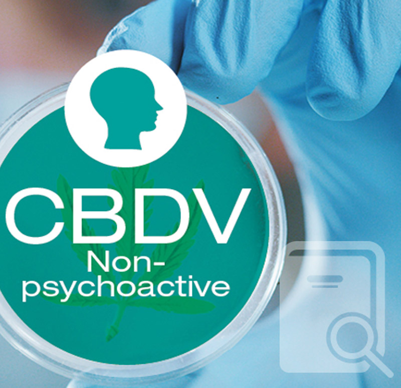 Qu’est-ce que le CBDV ?